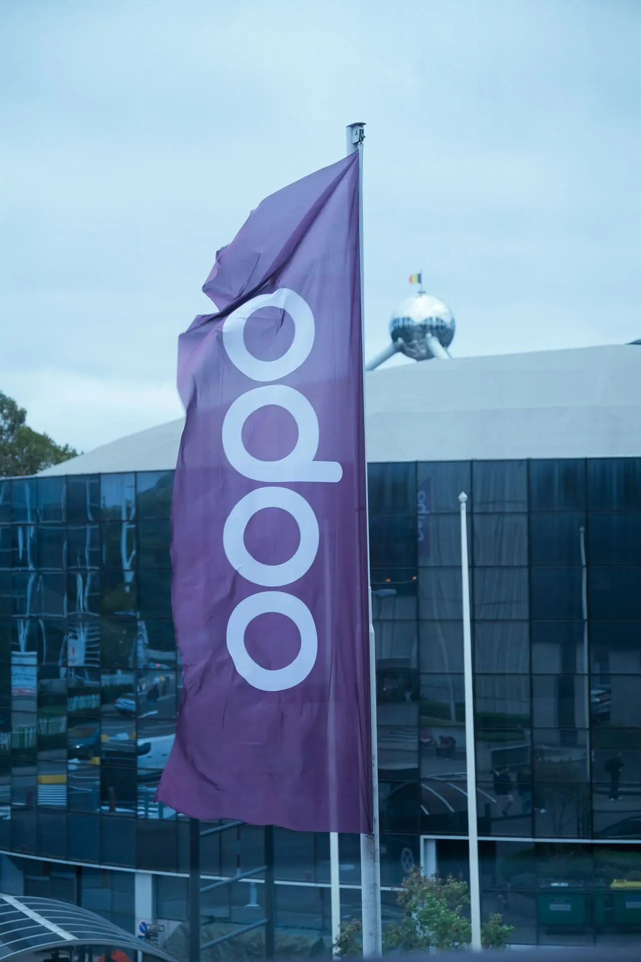 Design web professionnel